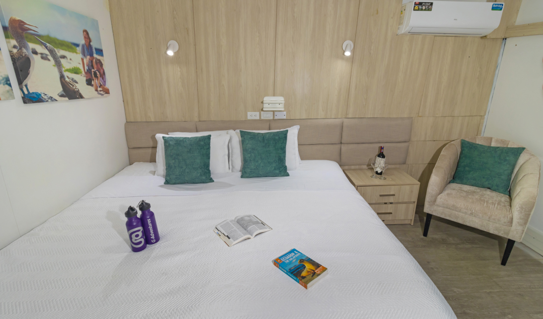 Double cabin - Yolita