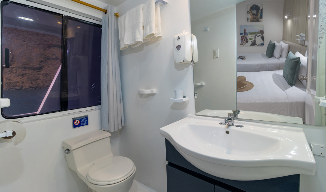 Interior cabin washroom - Yolita