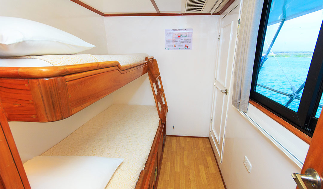 Interior cabin bunk beds - Eden