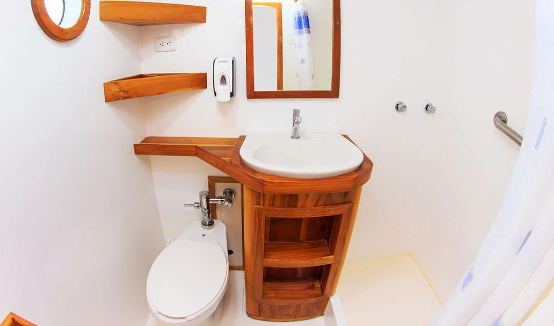 Interior cabin washroom - Eden