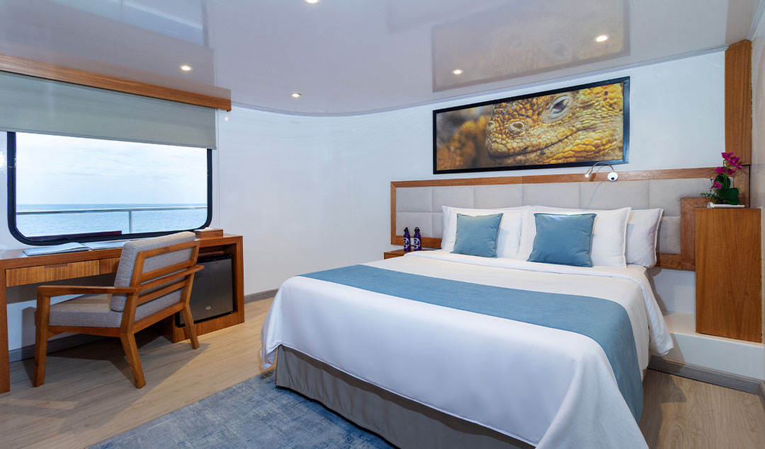 Single cabin - Reina Silvia Voyager