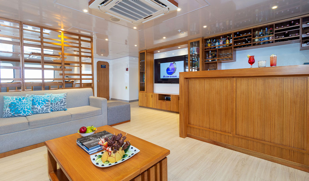 Lounge - Reina Silvia Voyager