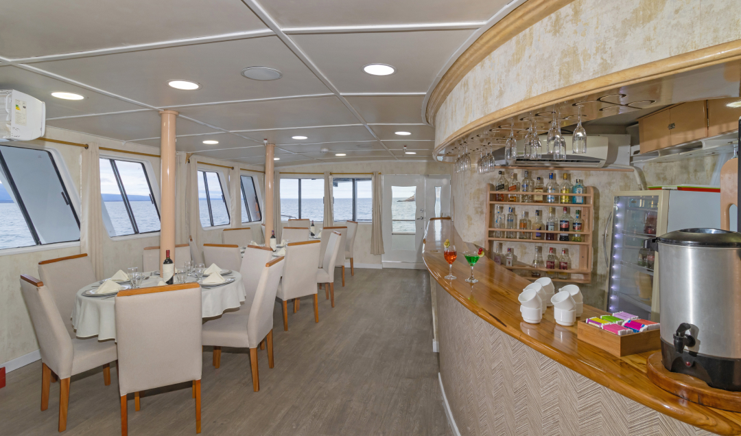 Interior bar - Yolita