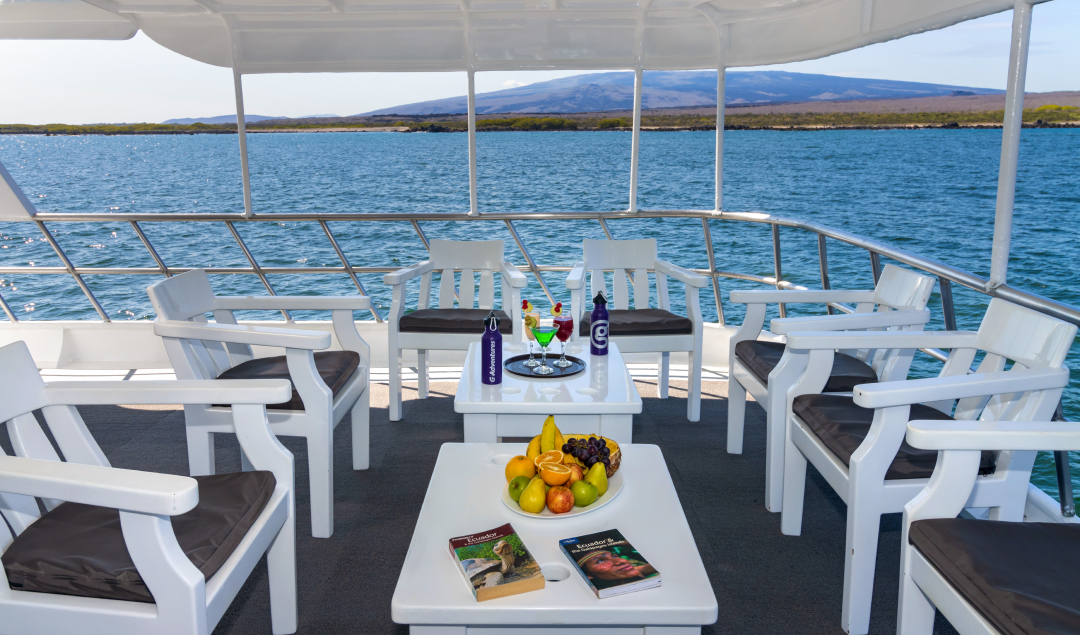 Outdoor lounge - Yolita