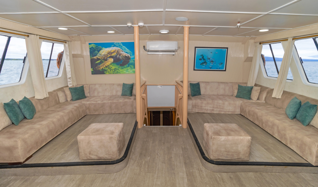 Indoor lounge - Yolita