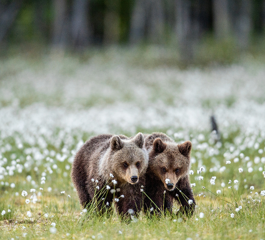 Moments defined by wonder