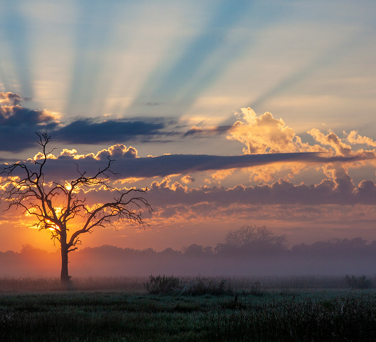 Peace of mind, always